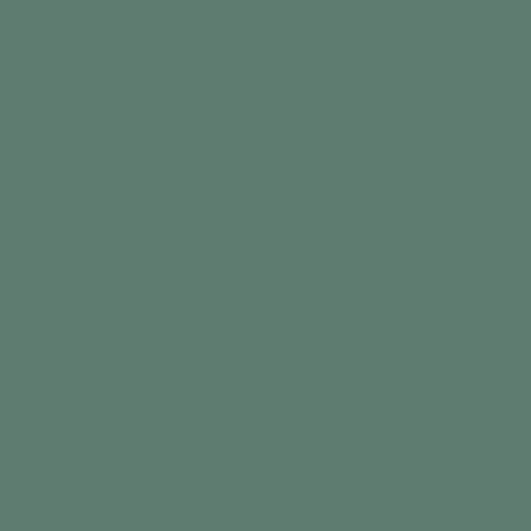 Màu xanh rêu, moss green, olive green