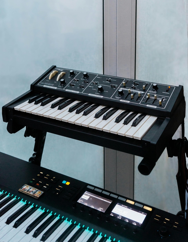 Piano, đàn piano, đàn dương cầm, dương cầm, giải trí, entertainment - Alena Sharkova