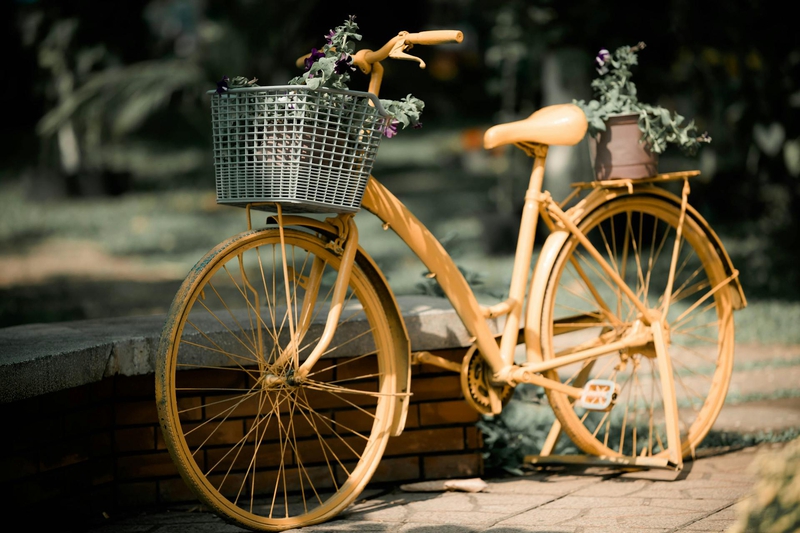 Xe đạp, xe đạp thể thao, xe, bike, thể thao, sport - Bảo Minh