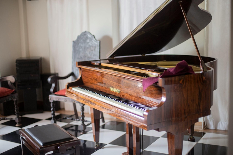 Piano, đàn piano, đàn dương cầm, dương cầm, giải trí, entertainment - Dalila Dalprat