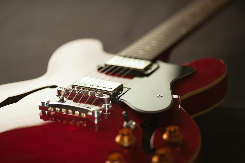 Đàn, đàn ghi ta, guitar, guitar điện, ghi ta điện, giải trí, entertainment - Méline Waxx