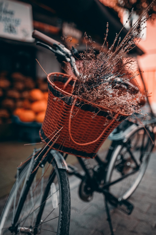 Xe đạp, xe đạp thể thao, xe, bike, thể thao, sport - Musa Ortaç