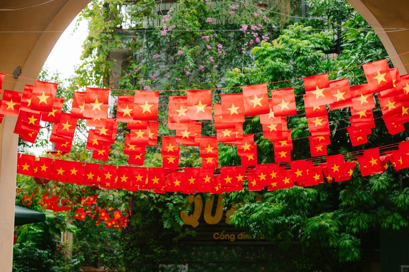 Lá cờ Việt nam, flag, Hà Nội, khung cảnh Việt, tree, cây, alley corner, Việt Nam - HONG SON