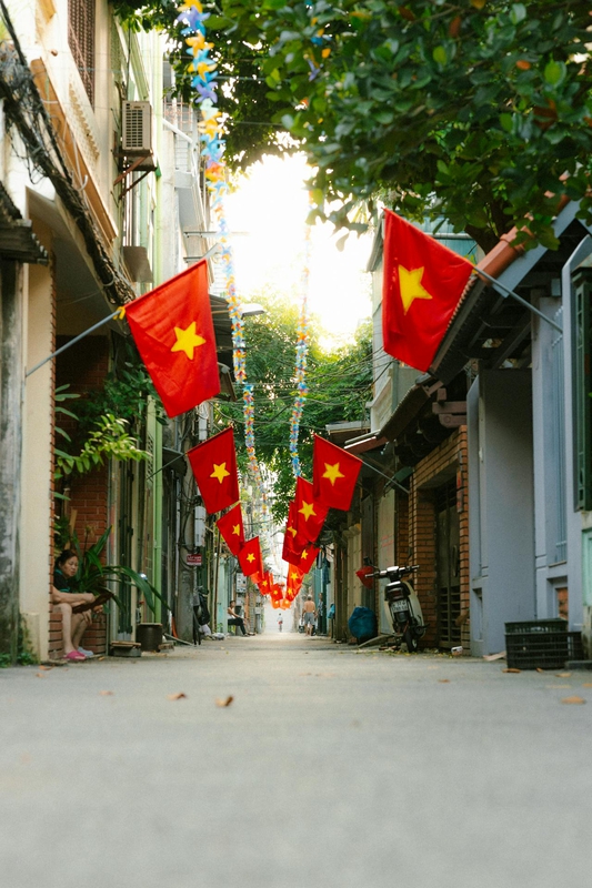 Lá cờ Việt nam, flag, Hà Nội, khung cảnh Việt, góc hẻm Hà Nội, hàng rong, Việt Nam - HONG SON 5