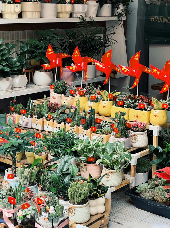 Cây cảnh, ornamental plants, chong chóng, pinwheel, chậu hoa, flower pot, cờ việt vietnam, flag, trang trí, decoration - Jayce Q