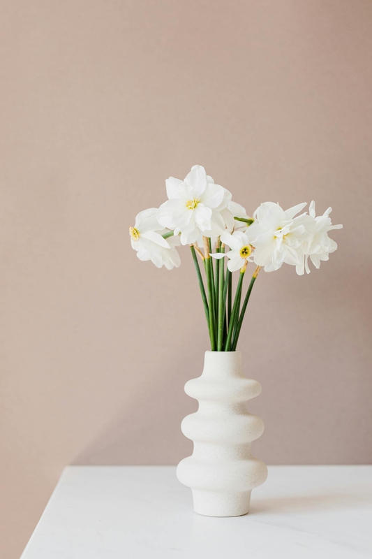 Ceramic vase, lọ gốm, bình hoa, hoa trắng, white flower, home decor, trang trí, minimalism, tối giản- Kaboompics.com 1