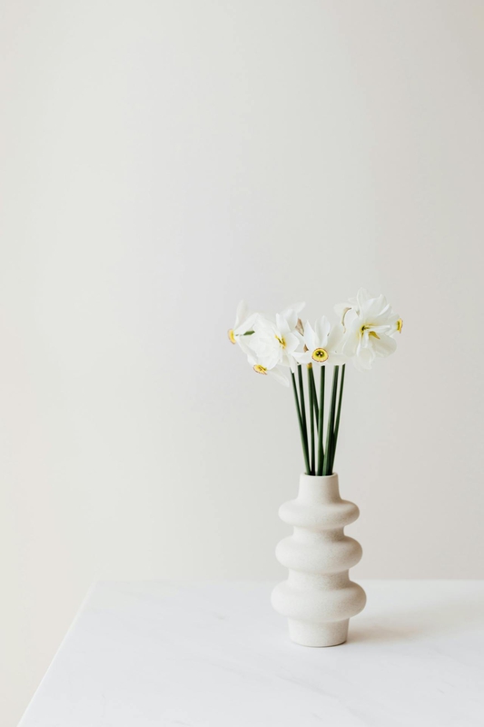 Ceramic vase, lọ gốm, bình hoa, hoa trắng, white flower, home decor, trang trí, minimalism, tối giản- Kaboompics.com 2