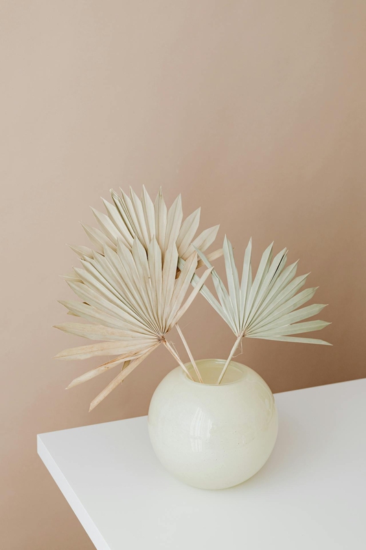 Lá cọ khô, dried palm, ceramic vase, lọ gốm, home decor, trang trí, minimalism, tối giản - Kaboompics.com 2