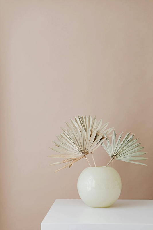 Lá cọ khô, dried palm, ceramic vase, lọ gốm, home decor, trang trí, minimalism, tối giản - Kaboompics.com 1