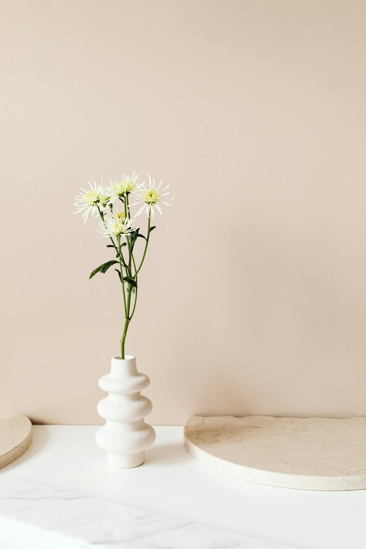 Ceramic vase, lọ gốm, bình hoa, hoa trắng, white flower, home decor, trang trí, minimalism, tối giản- Kaboompics.com 2