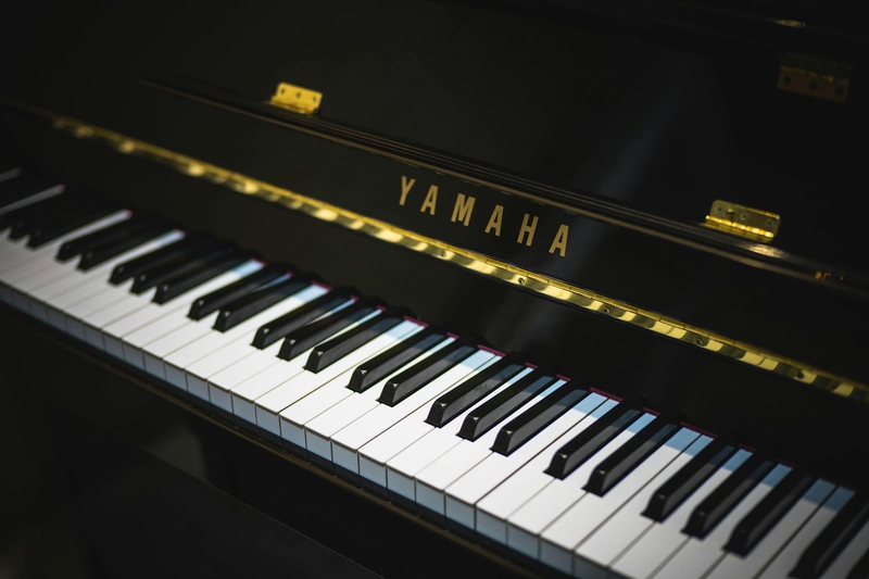 Piano, đàn piano, đàn dương cầm, dương cầm, giải trí, entertainment - Merve Nur Türker 1