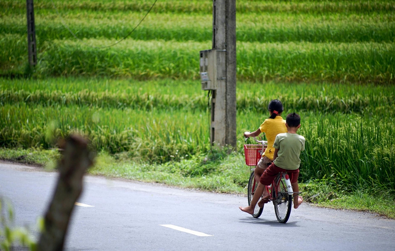 Ce đạp, bicycle, đạp xe, ride bicycle, cánh đồng lúa, rice field, đường, road, cột điện, utility pole - Q. Hưng Phạm