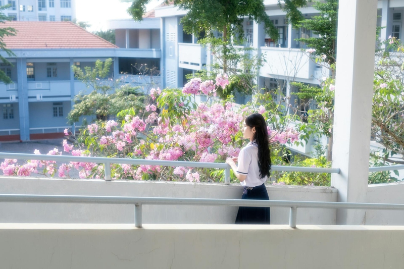 Tốt nghiệp, graduation, Học sinh, student, sinh viên, Việt Nam, con gái, cô gái, girl - Sơn Ngọc 3