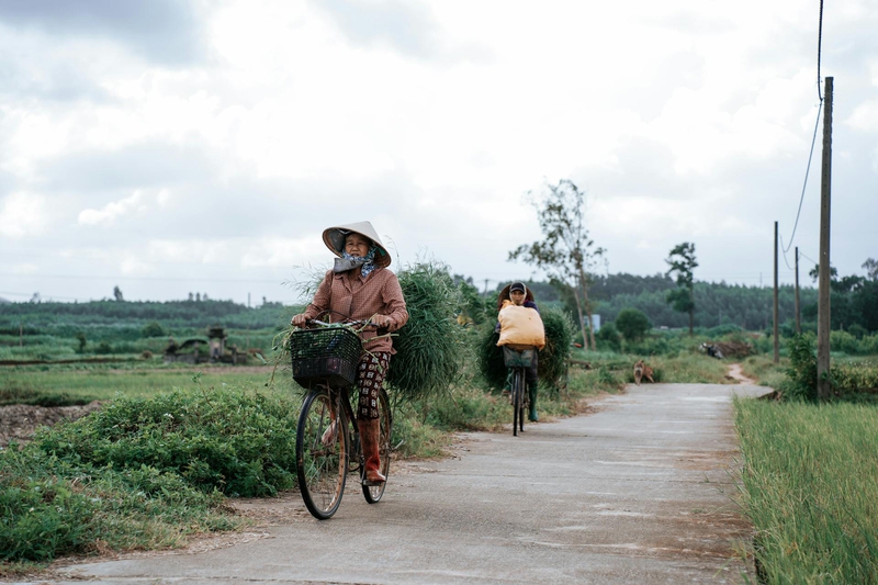 Xe đạp, bicycle, đạp xe, ride bicycle, nón lá, conical hat, đường nông thôn, rural road, nông thôn, rural, đồng cỏ, grassland - Xuân Thống Trần