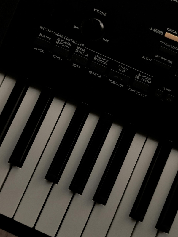 Piano, đàn piano, đàn dương cầm, dương cầm, giải trí, entertainment - Regulus