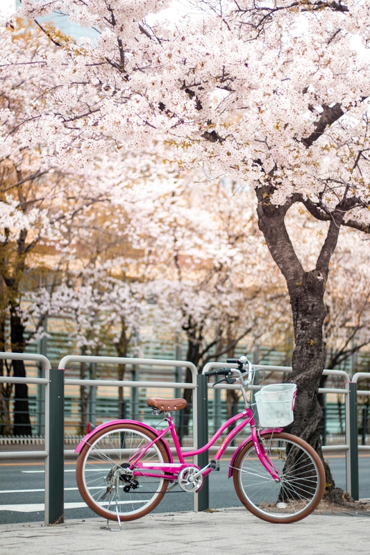 Xe đạp, xe đạp thể thao, xe, bike, thể thao, sport - Taryn Elliott