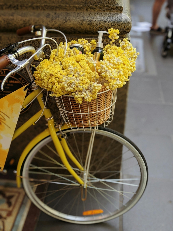 Xe đạp, xe đạp thể thao, xe, bike, thể thao, sport - Valeriia Miller