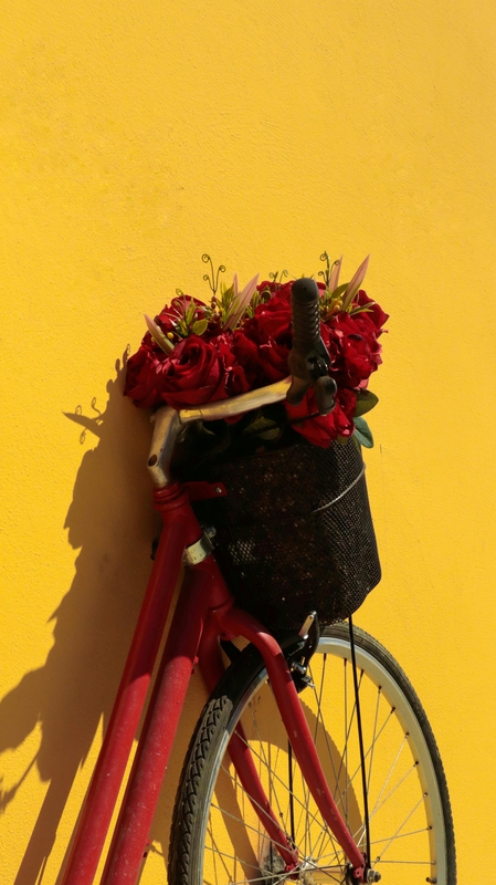 Xe đạp, xe đạp thể thao, xe, bike, thể thao, sport - Yasemin Şahin