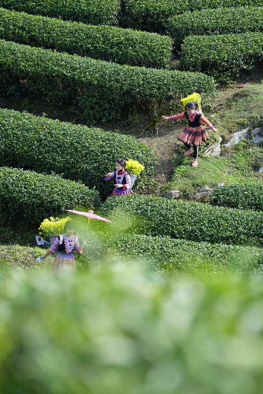 Trẻ em, em bé, dân tộc, miền núi, vùng cao, baby, children, ethnic groups, mountainous areas, highlands -chienba 7