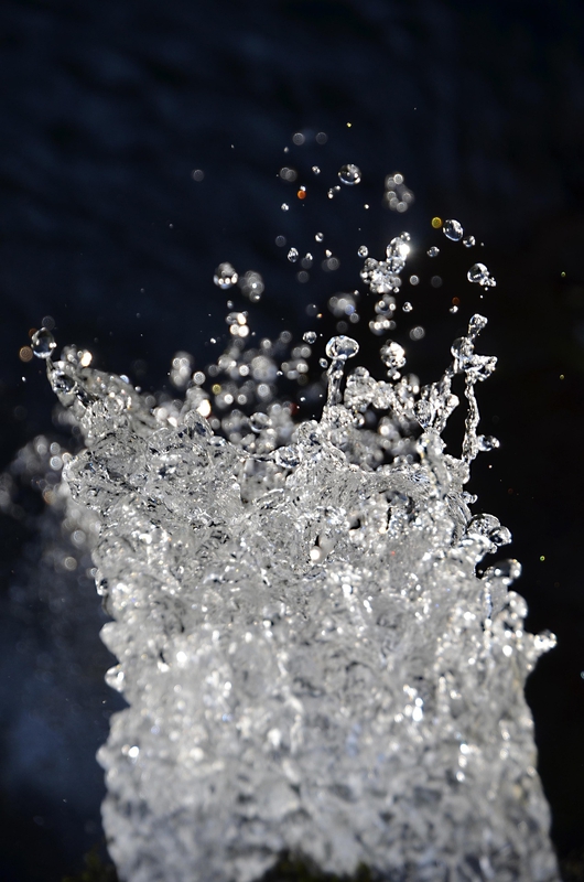 Nước, nước mưa, giọt nước, water, rain water, water drop - Pexels 1