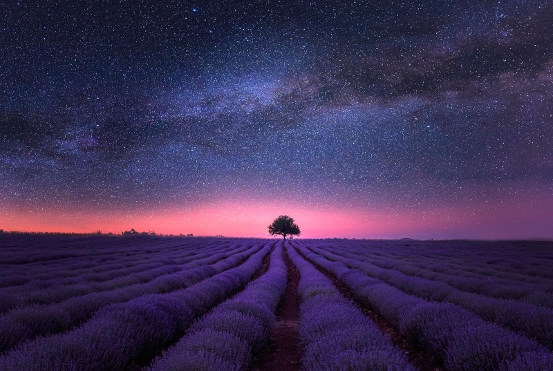 Lavender, tím, hoàng hôn, không gian, cosmic, bầu trời, cảnh đêm, hình nền, background- NaturePhotos