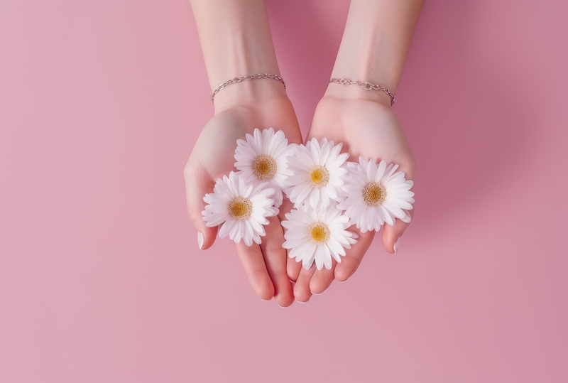 Daisy, hoa cúc, hand, bàn tay, pink, màu hồng, blossom, nở hoa, fresh, tươi mới - TungArt7