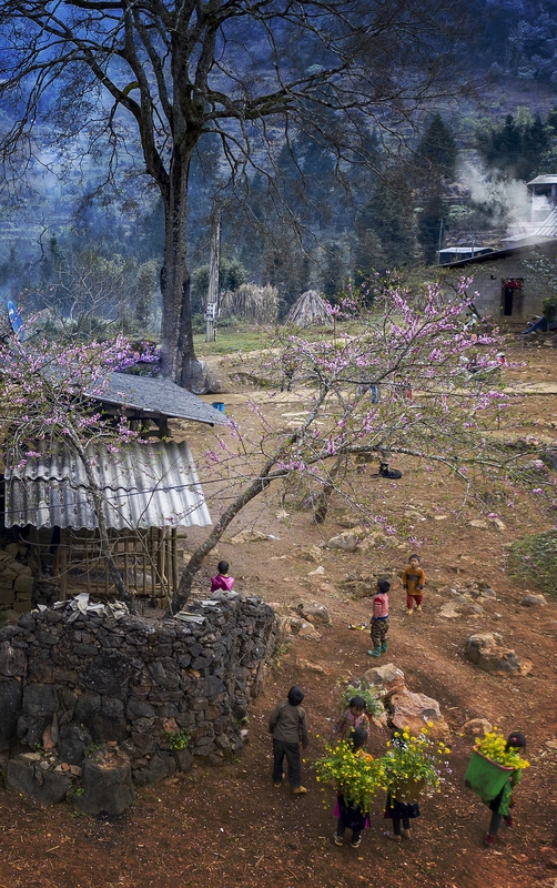 Làng, thôn làng, vùng cao, vùng núi, bản làng, village, hamlet, highland, mountainous area, hamlet- dangquangn
