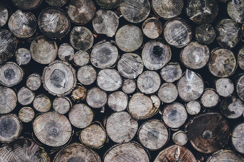 Gỗ, củi, xếp chồng, wood, firewood, stacking - Pexels 1