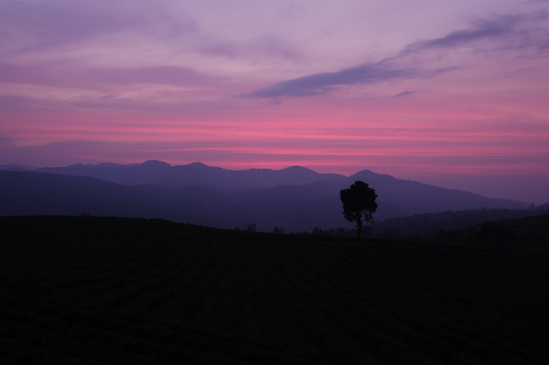 Bầu trời, sky, mây, clould, hoàng hôn, bình minh,  sunset, sunrise- bboyecko 1