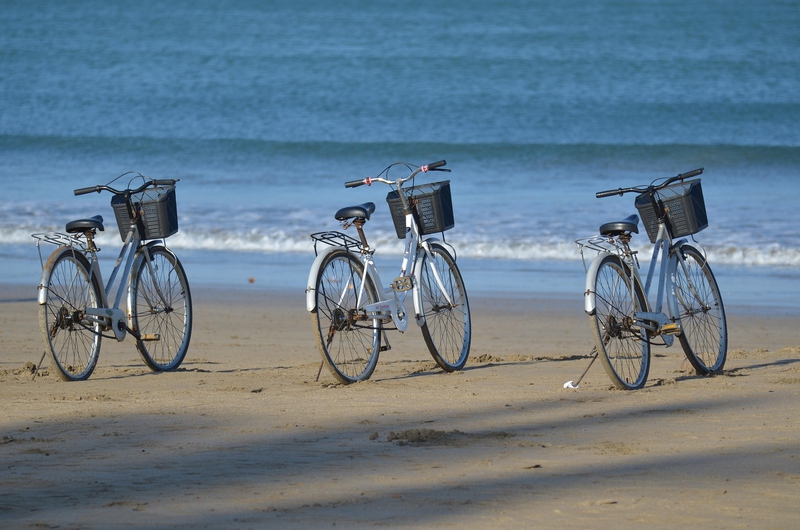 Xe đạp, xe đạp thể thao, xe, bike, thể thao, sport - Peggy_Marco
