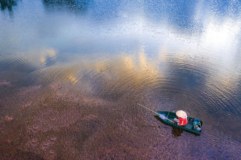 Sông, hồ, chèo thuyền, thuyền, river, lake, boating, boat- dangquangn 1