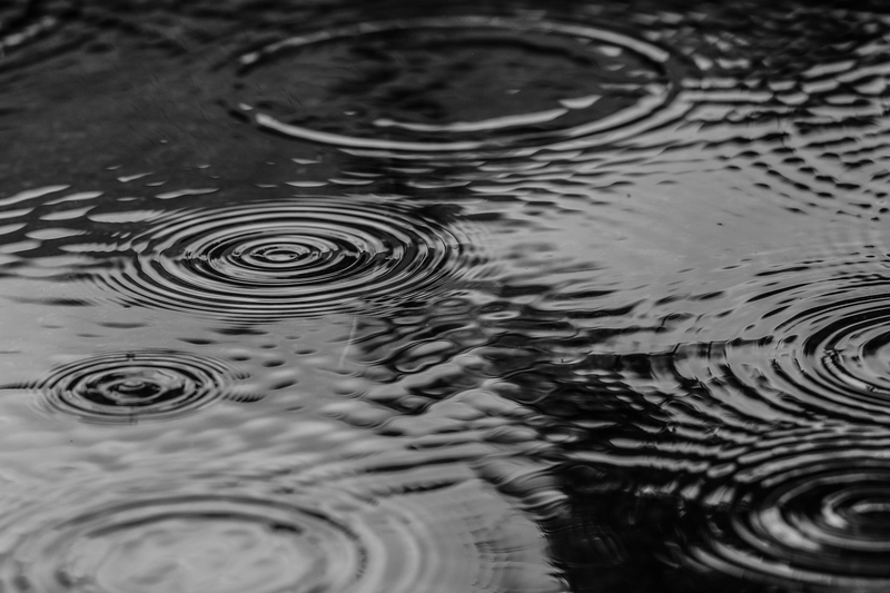 Vũng nước, water,water, nước, ripple, gợn sóng, rain, mưa, surface, bề mặt, dark -Photorama
