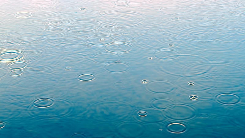 Vũng nước, water,water, nước, ripple, gợn sóng, rain, mưa, surface, bề mặt, calm - jplenio