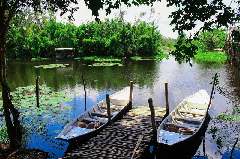 Hồ, đầm sen, chiếc thuyền, ghe,  boat, lake, lotus pond, - nguyenvanmenkc