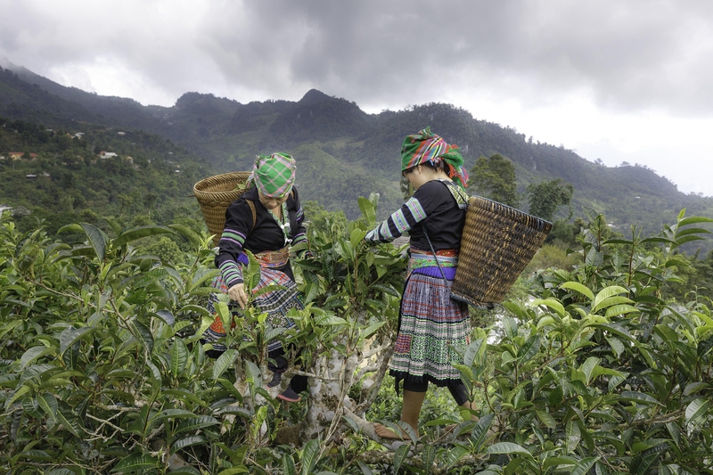 Ruộng bậc thang, đồng bào dân tộc, bản làng, terraced fields, ethnic minorities, villages - Quangpraha 1
