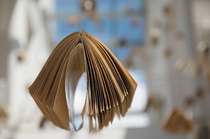 Sách, vở, nhật kí, books, notebooks, diaries- jarmoluk 5