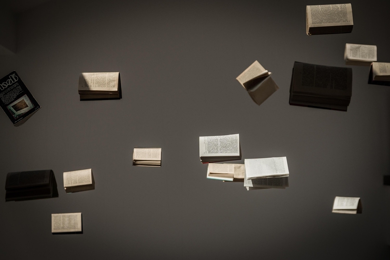 Sách, vở, nhật kí, books, notebooks, diaries- jarmoluk 4
