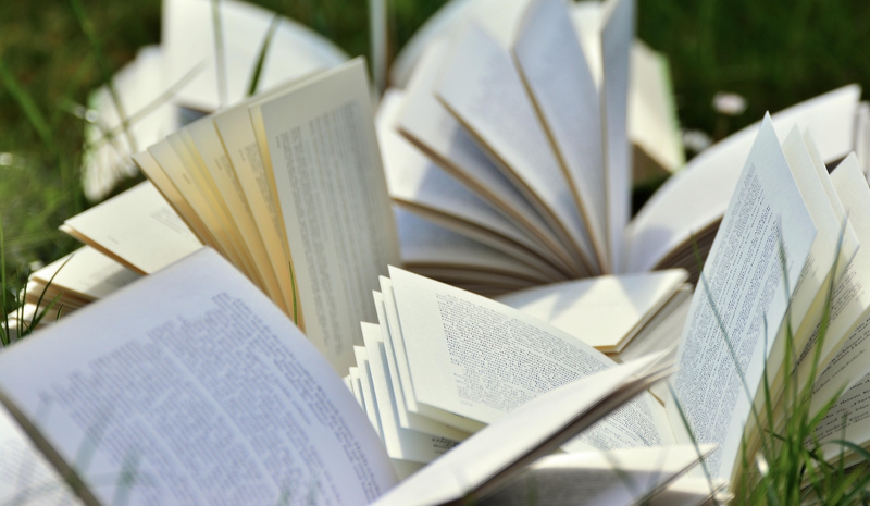 Sách, vở, nhật kí, books, notebooks, diaries- congerdesign
