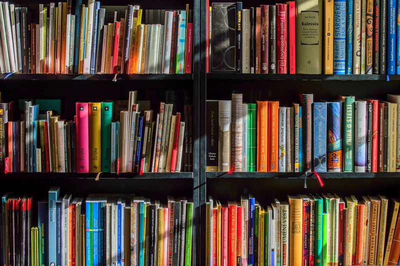 Sách, nhà sách, thư viện, kệ sách, books, bookstores, libraries, bookshelves- LubosHouska 2