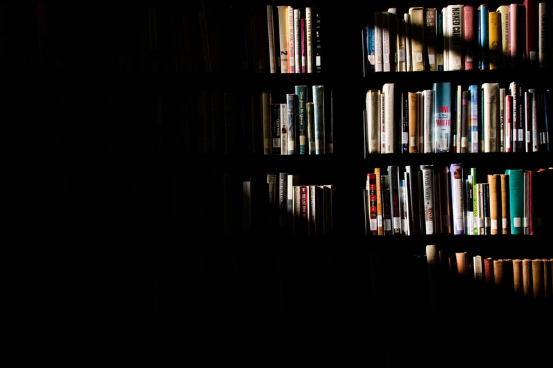 Sách, nhà sách, thư viện, kệ sách, books, bookstores, libraries, bookshelves-StockSnap 1