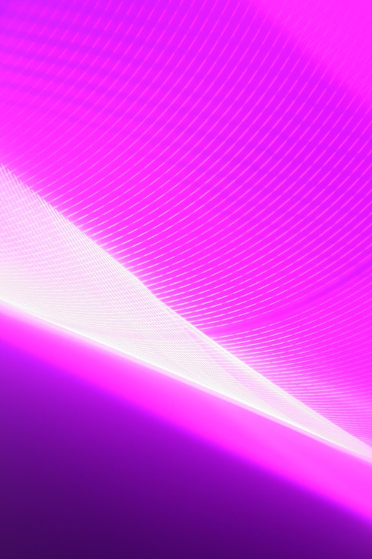 Purple background, hình nền màu tím, tím, purple, business background, business, future, light - kimhip 10