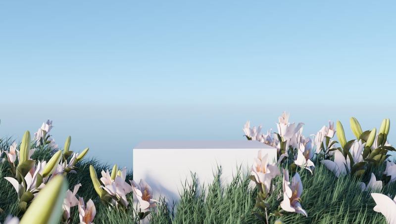 Hình nền, background, nền, cỏ, bãi cỏ, hoa, flower, bệ đỡ, podium, quảng cáo 48
