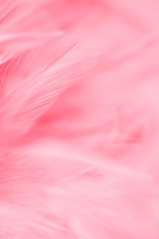 Ánh sáng, light, color gradient, màu hồng, pink, gradient, nền, hình nền, background 9
