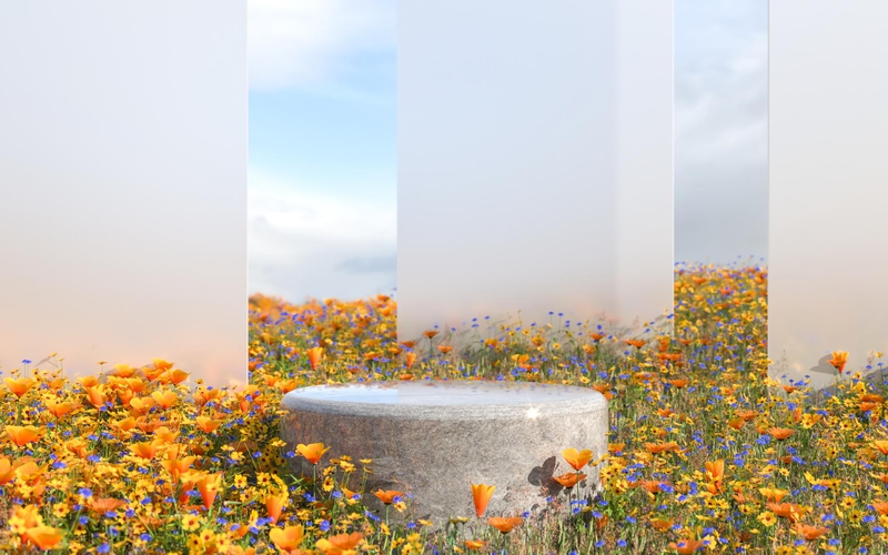 Hình nền, background, nền, cỏ, bãi cỏ, hoa, flower, bệ đỡ, podium, quảng cáo 24