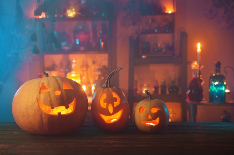 Lễ hội hóa trang, đèn bí đỏ, không khí lễ hỗi, trang trí, kinh dị, halloween, pumpkin lantern, festive atmosphere, decoration, horror - Amme 5