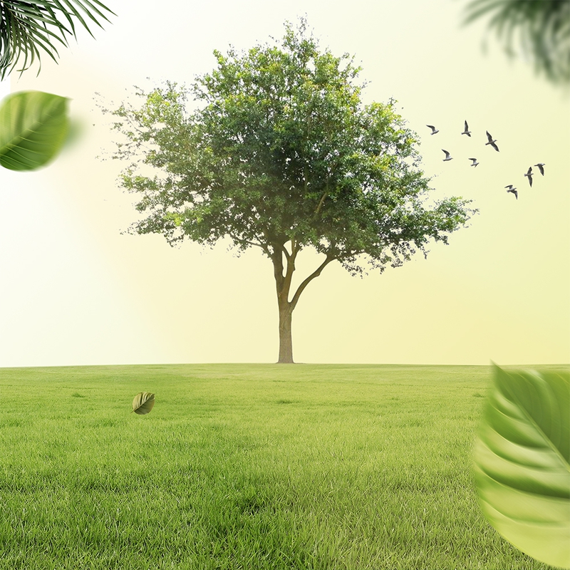 Thiên nhiên, natural, đồng cỏ, cánh đồng, cỏ, grass, sông, bầu trời, sky, hình nền, nền, background, green