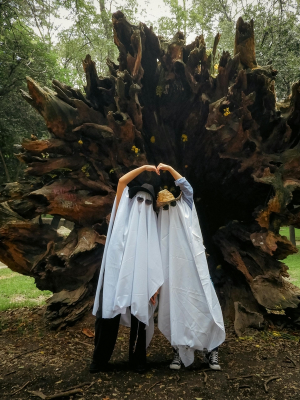 Ma, ghost, con ma, halloween, hóa trang, lễ hội hóa trang, lễ hội ma quái, festival - Ericka Sánchez 12