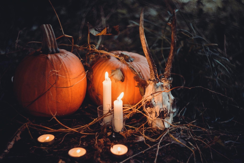 Bí đỏ, bí ngô, pumpkin, halloween, lễ hội hóa trang, lễ hội ma quái, festival - freestocks.org