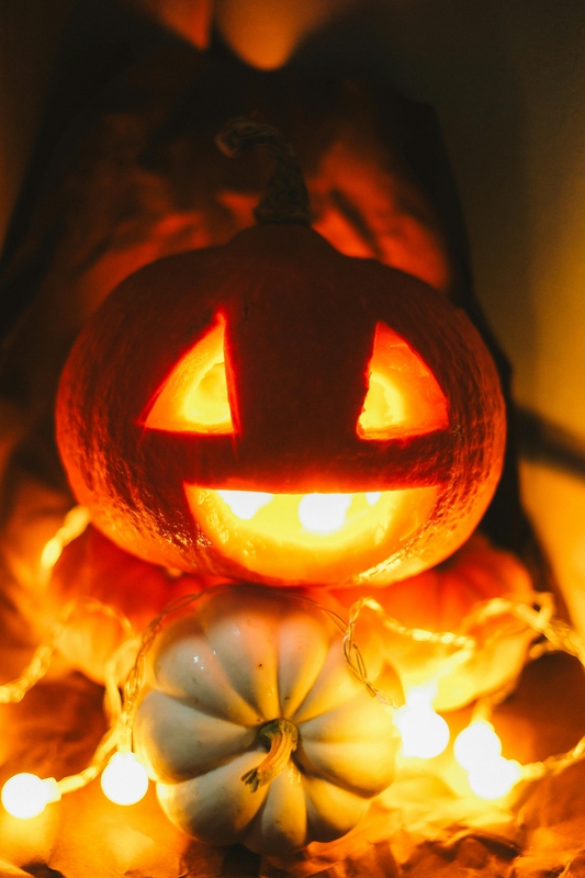 Halloween, bí đỏ, bí ngô, pumpkin, lễ lội hóa trang, lễ hội, festival, sự kiện, event, horrible - Gülşah Aydoğan