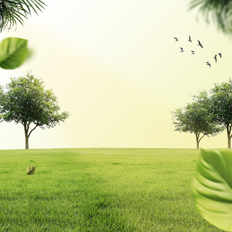 Thiên nhiên, natural, đồng cỏ, cánh đồng, cỏ, grass, sông, bầu trời, sky, hình nền, nền, background, green 3